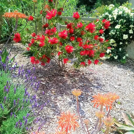 Les Jardins De Bormes, Sauna & Jacuzzi Hotel 3*