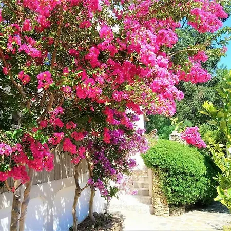 Les Jardins De Bormes, Sauna & Jacuzzi Hotel Bormes-les-Mimosas